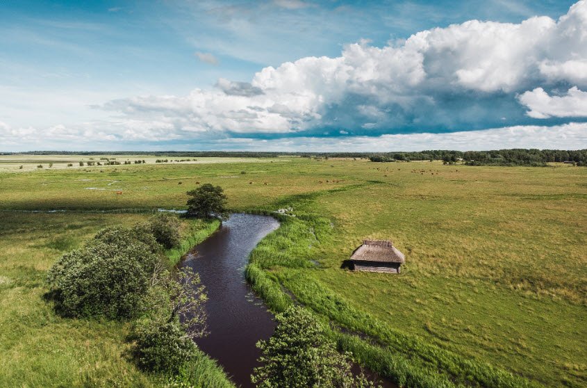 Matsalu National Park , Lääne County, Estonia